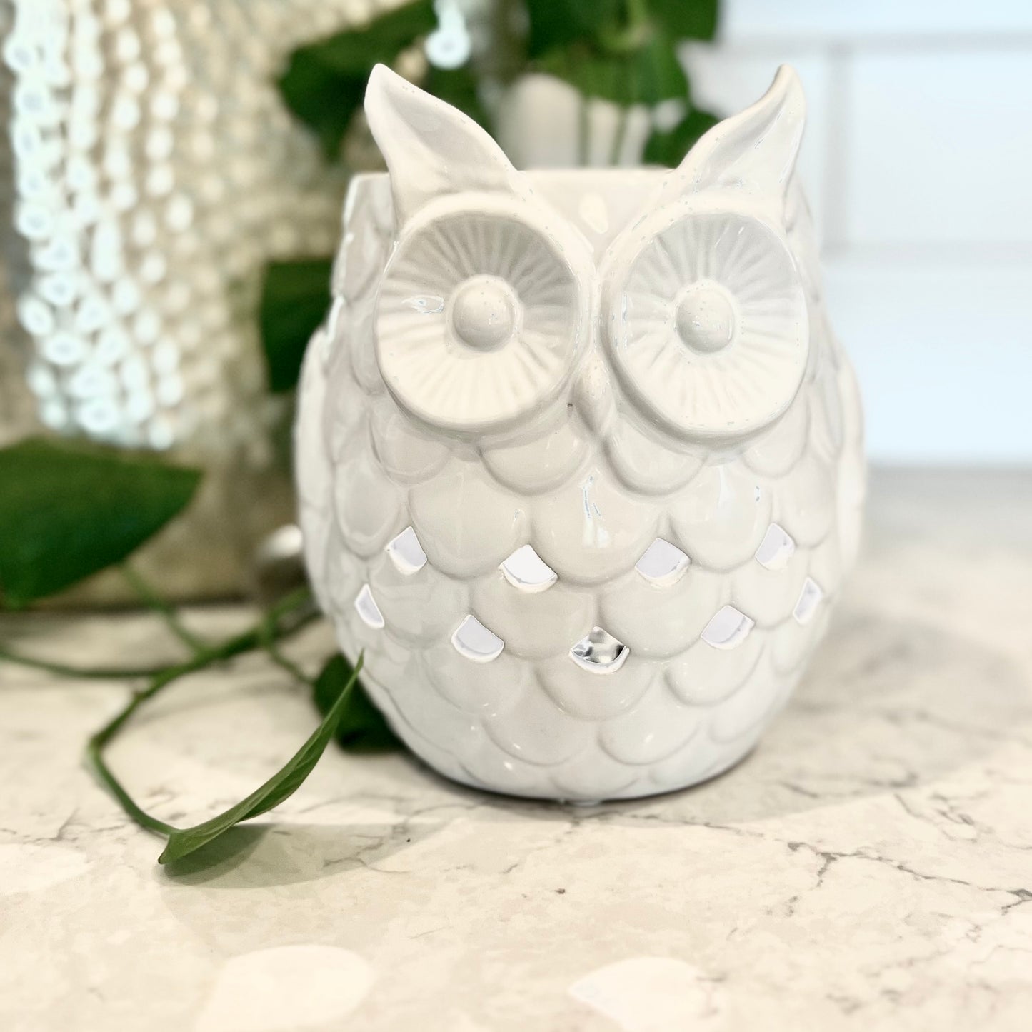 Owl with Timer - Wax Warmer